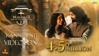 Kannil Ente Video Song  Vineeth Sreenivasan  Swetha Mohan  Pranav Mohanlal  Kalyani Priyadarshan [upl. by Cirdla]