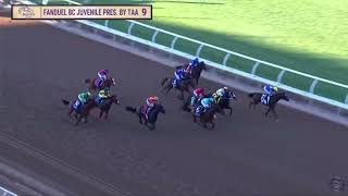 The 2024 Breeders’ Cup Juvenile G1 Won By Citizen Bull  Gaming 2nd  Full Replay [upl. by Methuselah]