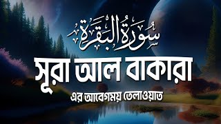 Surah Baqarah سورة البقرة  সূরা আল বাকারা। Best Emotional Quran Tilawat  Sheikh Masud [upl. by Theobald46]