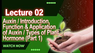 Auxin  Introduction Function amp Application of Auxin  Types of Plant Hormone Part 1  Lecture 2 [upl. by Grube]