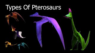 Types Of Pterosaurs [upl. by Eelarol]