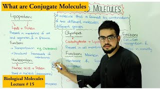 conjugated molecules  Lipoprotein Glycolipid Glycoprotein Nucleoprotein [upl. by Dnalrag]