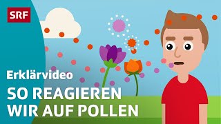 Heuschnupfen  Pollenallergie – einfach erklärt  Kindervideos  SRF Kids [upl. by Bridie]