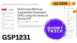 2024 Multimodal Retrieval Augmented Generation RAG using the Vertex AI Gemini API  GSP1231 [upl. by Ienttirb788]