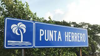 Punta herrero [upl. by Winn]