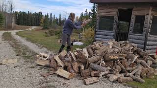 chopping wood 🪵 🪓 🌲preparing for winter [upl. by Leunammi]