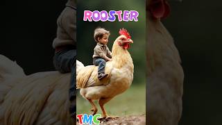 Rooster Song musicforkid song childrensmusic [upl. by Wenoa]