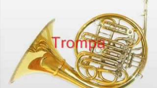 CUALIDADESONIDOINSTRUMENTOS2wmv [upl. by Blandina]