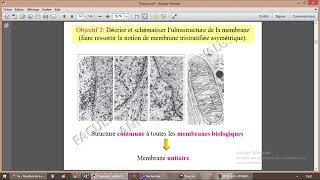 Introduction à la membrane plasmique [upl. by Levins]