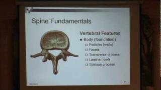 Lumbar Spinal Stenosis Part 1 Spine Fundamentals Paul Houle MD [upl. by Horne]