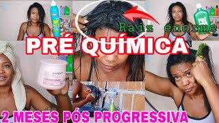 REALIDADE DO MEU CABELO 2 MESES PÓS PROGRESSIVA ROTINA CAPILAR PREPARANDO CABELO MUDANÇA DE QUÍMICA [upl. by Yevreh]