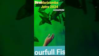 Sirsi  MARICAMBA JATRE 2024AQUARIUM [upl. by Lyudmila]