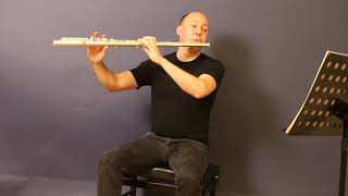 Miyazawa Alto flute [upl. by Eesac]