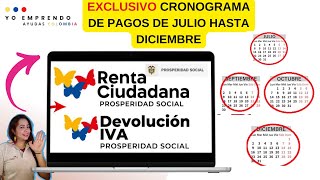 🟢Calendario de Pagos Julio a Diciembre Acumulados Devolución IVA y Renta Ciudadana VER Yo Emprendo [upl. by Easter]