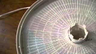 Nesco Dehydrator homemade tray insert  shout out Greatgaiagoddess [upl. by Patten]