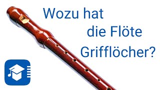 Wozu hat die Flöte Grifflöcher [upl. by Gnim]