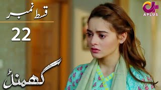 Ghamand  Episode 22  Aplus Dramas  Noman Ejaz Sunita Marshall Sadaf  Pakistani Dramas  CG11 [upl. by Llij309]