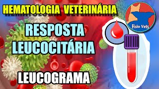 Interpretação do hemograma  Leucograma Parte 1  Medicina veterinária [upl. by Lacsap163]