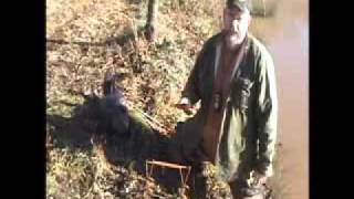 basic beaver trapping [upl. by Haynor]