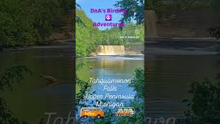 Michigans Largest Falls Tahquamenon State Park vanlife vanagon birding waterfalls birdwatching [upl. by Delsman]