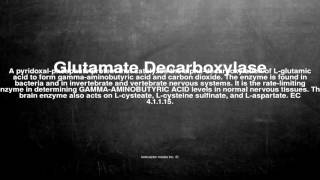 Medical vocabulary What does Glutamate Decarboxylase mean [upl. by Spiegel745]