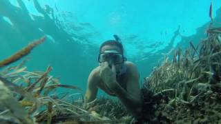 Plongée Observation sous Marine en Apnée  Mer Méditerranée  Freediving Snorkeling [upl. by Nie]