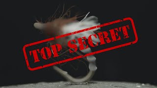 TOP Secret Fly [upl. by Bethesde]