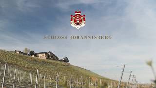 Weinprobe TERROIR VON SCHLOSS JOHANNISBERG mit Michel Städter Leiter Weinbau [upl. by Datha241]