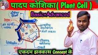 Anatomy of plant cell one shot  Neet biology 2025 in Hindi  padap koshika ki sanrachna [upl. by Marya]