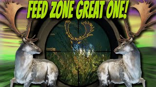 Feed Zone Great One Fallow Deer BLEW MY MIND With Its Beauty The Hunter Call of the wild [upl. by Lehcor]