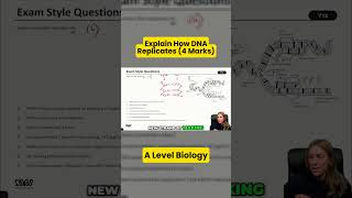 Explain How DNA Replicates  A Level Biology [upl. by Libys]