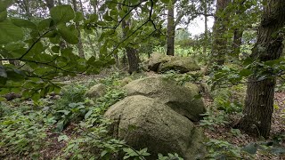 Die Großsteingräber Holzhauser Kellersteine 1  2 bei Wildeshausen Niedersachsen [upl. by Grange]