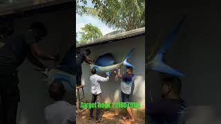 sailfish fishing targethook bigfishgames merlins sawantwadi viralvideo [upl. by Malissa437]