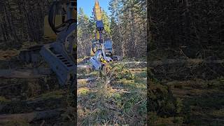 Kesla Harvester 20SH Stroke Head Testing forestrymachinery kesla stroke head [upl. by Annaj]