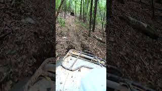 Honda foreman 500 on a twisting trail  AOAA [upl. by Colyer515]