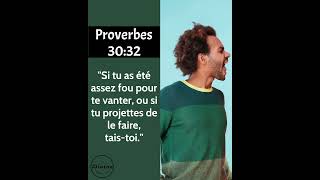 Verset Biblique Du Jour  Proverbes 3032  La sagesse engendre la maîtrise de soi et lhumilité [upl. by Kral]