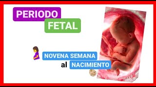 ✅ PERÍODO FETAL📚  de la NOVENA semana al NACIMIENTO 📚  EMBRIOLOGÍA HUMANA 2021 [upl. by Erastes]