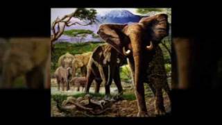 Wildlife Oil Paintings quotEscaleraquot [upl. by Cooley]