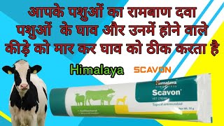 himalaya scavon vet cream uses in Hindi ll पशुओं के होने वाले घाव को ठीक करें ll संक्रमण रोके ll [upl. by Arorua331]