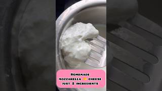 Mozzarella cheese 🧀 making just 2 ingredients cheese manamwithsathya ytshort [upl. by Lavern]