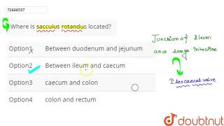 Where is sacculus rotandus located [upl. by Nailij696]