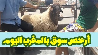 مباشرة من سوق سبت الراشدية اليوم سولت الناس بشحال شراو حولي عيد الأضحى وحولية 1562024 مع تمن لخروف [upl. by Bortman]