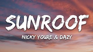 Nicky Youre dazy  Sunroof Lyrics [upl. by Coffee]