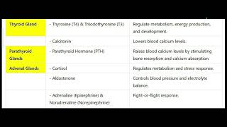 ENDOCRINE GLANDS AND THEIR HORMONES  ENDOCRINE SYSTEM [upl. by Locklin282]