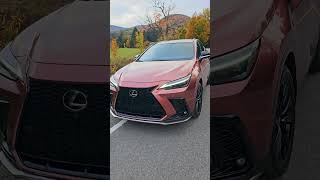 Couleur à vomir ou un grand WOW Lexus NX 450h [upl. by Kcirredal]