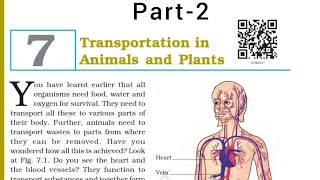 Transportation in Animals and Plants  Class 7  chapter7  NCERT  Part2 [upl. by Orlene664]