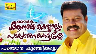 പഞ്ചാര കുഞ്ചിയല്ലേ Song  Mole Anaye Kettiyalum Pappane Kettalle Kalabhavan Mani Nadan pattukal [upl. by Ellata959]