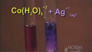 Cobalt Complex Ion Equilibrium  LeChateliers Principle Lab Part 3 [upl. by Elylrac]