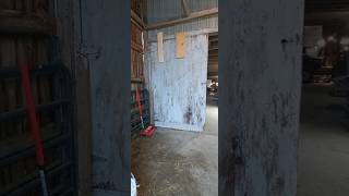 This Old Barn Door Improvements shorts opportunitybarn [upl. by Kally]