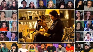 John Wicks Dogs Death  John Wick 2014 Reaction Mashup [upl. by Ydnew]